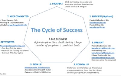 Monday Motivational Call: The Cycle of Success